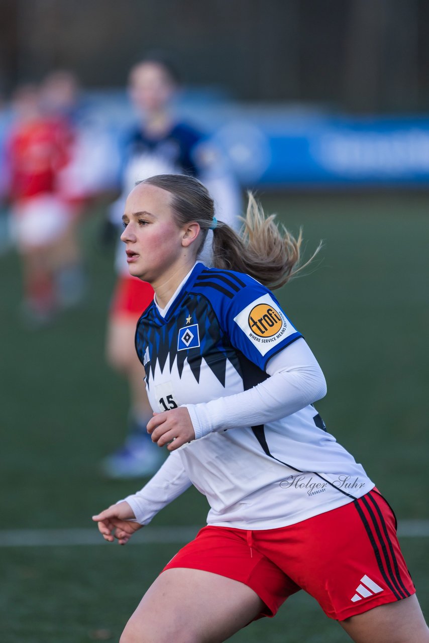 Bild 303 - wBJ Hamburger SV - Holstein Kiel : Ergebnis: 8:0